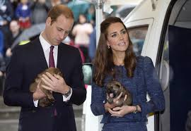 We bring you updates and coverage of duchess kate's charity work and royal appearances with the british royals as they happen, as well as the latest photos and stories from the cambridge family with kate's children: Kate Middleton And Prince William Cuddle Cute Puppies In New Zealand Time