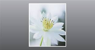 Jean Carolyn Jenson Obituary September 16, 2023