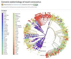 It was first identified in december 2019 in wuhan,. Coronavirus The Role Of Ai In The War Against Epidemics And Pandemics