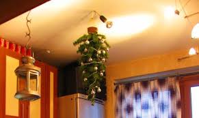 Diy dad child proofs christmas tree by hanging it from ceiling caters news agency. Hanging Upside Down Christmas Trees Reinventing Space Saving Medieval Christmas Decorating Tradition