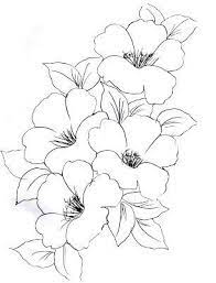 We did not find results for: Flores Para Dibujar Con Color Faciles