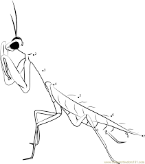 Plus, it's an easy way to celebrate each season or special holidays. Praying Mantis Coloring Page Coloring Home