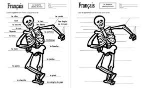 There is a printable worksheet available for download here so you can take the quiz with pen and paper. French Body Parts Label The Skeleton Parties Du Corps French Halloween