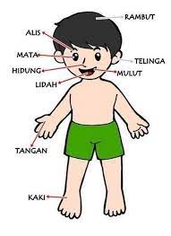 Jelajahi koleksi kaki, kartun, jejak gambar logo, kaligrafi, siluet kami yang luar biasa. 25 Gambar Tangan Manusia Kartun Gambar Animasi Anggota Tubuh Manusia Google Penelusuran Download Hukum Menggambar Manus Wajah Pria Manusia Perawatan Wajah