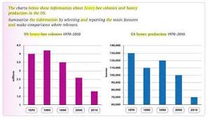 Ielts Bar Chart Honey Bee Colonies And Production
