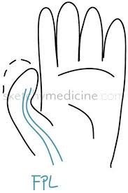 Hand Exam Motor 1 13 Flexor Pollicis Longus Fpl Median Nerve Hand Therapy Exam