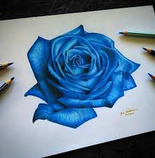 Art Beauty Blue Drawing Flower Nature Rose Sketch Flower Drawing Beautiful Flower Drawings Blue Rose Tattoos