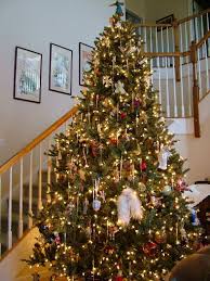 Christmas trees were also decorated with sweets and cakes hung with ribbon. Christmas Tree Xmas Tree Fraser Fir In Dubai Terraforma Dubai Uae