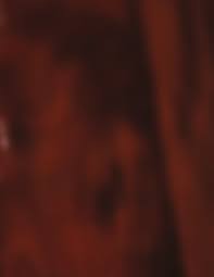 2024 new menu print small