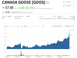 goos stock canada goose stock price today markets insider