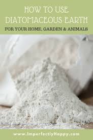 Using Diatomaceous Earth The Imperfectly Happy Home Diatomaceous Earth Flower Garden Garden Pests