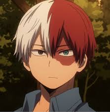 Pin On Todoroki