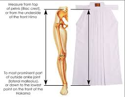 Sizing Guides