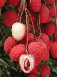 Epingle Par Escale Martinique Sur Fruits Et Legumes Fruits Exotiques Litchi Fruit Idee Legume