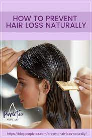 Foods that act as natural dht blockers for hair. How To Prevent Hair Loss Naturally Purple Tea Blog Oil For Hair Loss Biotin For Hair Loss Hair Loss Cure