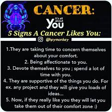 Even the slightest of teasing can make him feel miserable and force him to go deep inside that protective shell, which no one can pierce. Pin Auf Cancer Sign