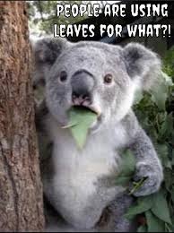10 Covid 19 Memes That Will Bring A Smile To Your Face Pittsburgh Magazine Please sir can i haz money now oliver twist quickmeme. 10 covid 19 memes that will bring a