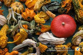 Accademia del gusto, #2 among bisuschio pizza restaurants: Feste E Sagre Sul Lago Maggiore Estate 2017