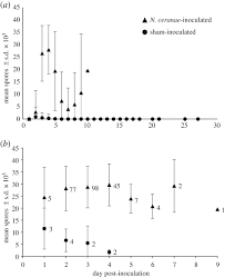 Let us take a closer look at this forgotten treasure of native bees. Pathogen Spillover From Apis Mellifera To A Stingless Bee Proceedings Of The Royal Society B Biological Sciences