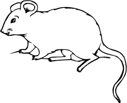 Resultado De Imagen De Imagenes De Ratones Para Colorear Dibujos Para Colorear Paginas Para Colorear Para Ninos Imagenes De Ratoncitos