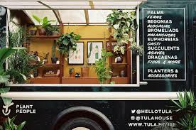 This variety is probably the hardiest of them all and adds a tropical touch to the home. The Coolest Plants For Your Apartment From Nyc S Best Garden Shops