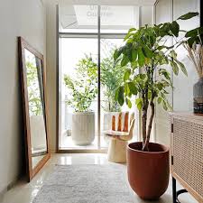 Bunga hias dalam ruangan rumah yang sangat indah dan cantik bisa untuk menambah keasrian dan keindahan rumah. Ini Dia 8 Toko Tanaman Lokal Untuk Pecinta Tanaman Hias