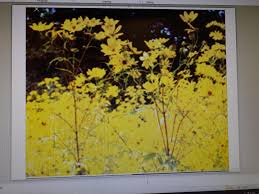 Maybe you would like to learn more about one of these? Ethiopia To Celebrate Its New Year Tomorrow 12th September Regional Office For Africa