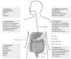 Differential diagnosis basal pneumonia, myocardial infarction, gastroenteritis, hepatitis and urinary tract infection may be misdiagnosed as peritonitis. Gastroenteritis Pathophysiology Of Gastroenteritis Bacteria Viruses Parasites Metabolism Of Human Diseases