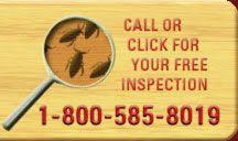 Dear charleston homeowners, my name is mark marenakos. 27 Pest Control Ideas Exterminator Pest Control Pest Problem