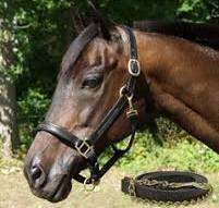 Waterproof Horse Accessory Dura-Tech Padded Halter & Bridle Bag - Navy Blue  Water-Repellent Tack Storage With Secure Straps Equestrian Gear Storage