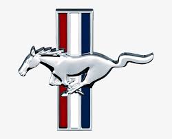 Check spelling or type a new query. The Daily Helmet A Horse Is A Horse Of Course