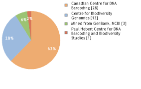 Image result for Oxyrhachis