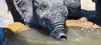 Wow. Amazing story and he continues on… | Facebook