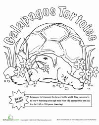 Color The Galapagos Tortoise Worksheet Education Com Galapagos Tortoise Galapagos Galapagos Islands Animals