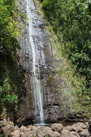Oahu Manoa Falls Hawaii Travel Hawaii Travel Guide Oahu