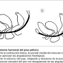 tratamiento estreñimiento "heces duras" sangrado de www.scielo.edu.uy