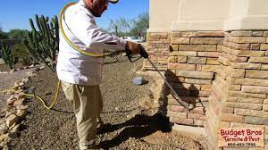 Family owned and operated pest control in az and nv. Termite Elimination Budget Brothers Termite