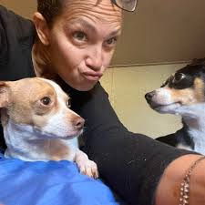 Affordable wedding reception options