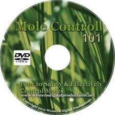 Gulf coast exterminators will treat your home, or office, just as we would our own. 9 Diy Pest Videos Pests Diy Pest Control Pest Control