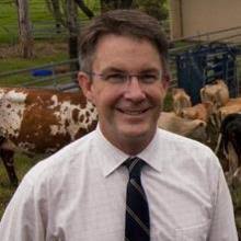 Honorary Professor Jon Hill