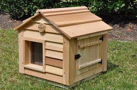 Diy outdoor cat enclosure catio. 20 Outdoor Cat House Custom Dog Cat Houses By Blythe Wood Works