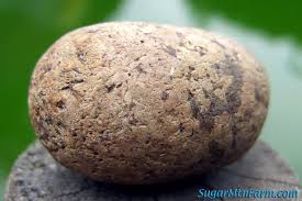 The only triangular looking one. Love Wins Analysis Chapter 6 There Are Rocks Everywhere Part I This Journey Is My Own