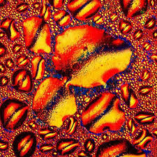 But these striking and colorful images are actually samples of alcoholic drinks that have been magnified up to 1000 times under a powerful laboratory microscope.capturing the molecules that make up our favorite drinks like vodka, rose wine and tequila, the pictures were taken in florida state university's chemistry department. Amazing Photos Of Alcohol Under A Microscope Artfido