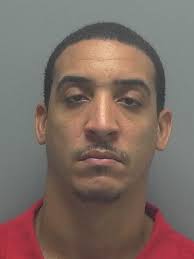 New Year's Day arrests in Lee County