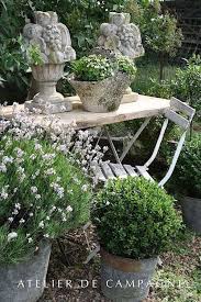 Pin On Julies Garden