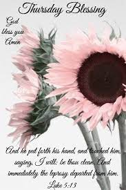 Pin By Dr Anita The Dailey Mentor On Thursday Blessings Pink Sunflowers Pretty Flowers Flowers