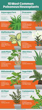 Pin On Useful Tips