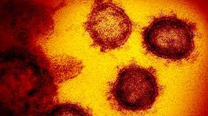 Search the aspr tracie resource library and view tailored topic collections comprised of current healthcare system preparedness resources. Sars Cov 2 Und Coronaviren Schreckliche Schonheiten Br Wissen