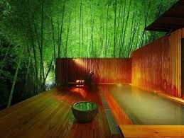 Check spelling or type a new query. Japanese Garden Plants Awesome Japanese Garden Design Ideas