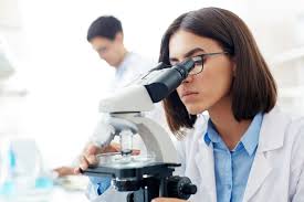 Scientific breakthrough paves the way for new preventative breast cancer  drugs